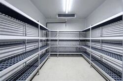 CT FoodCHAIN (D5), Factory #521662501